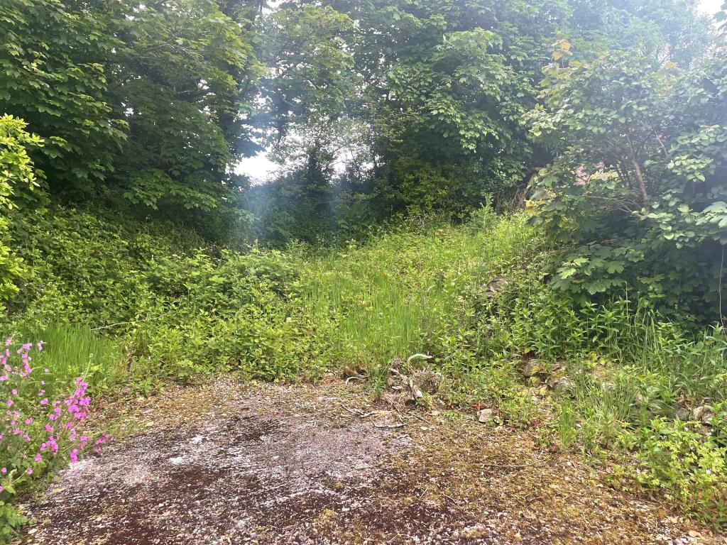 Lot: 58 - SITE WITH OUTLINE PLANNING APPROVAL - Partly overgrown area of land